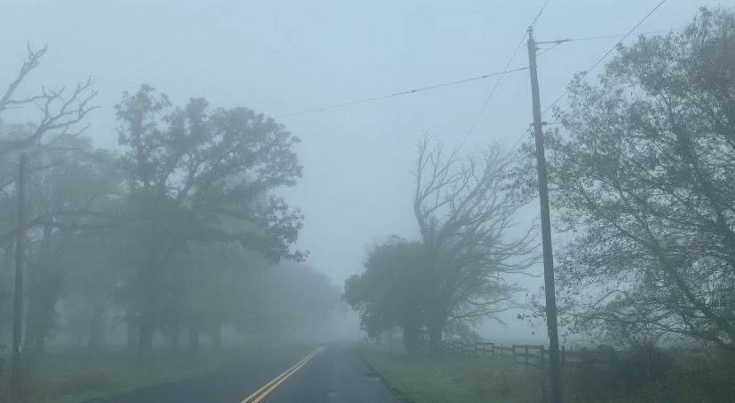 Bray Road
